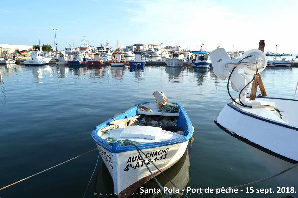 11 SANTA POLA PORT DE PECHE (12).JPG